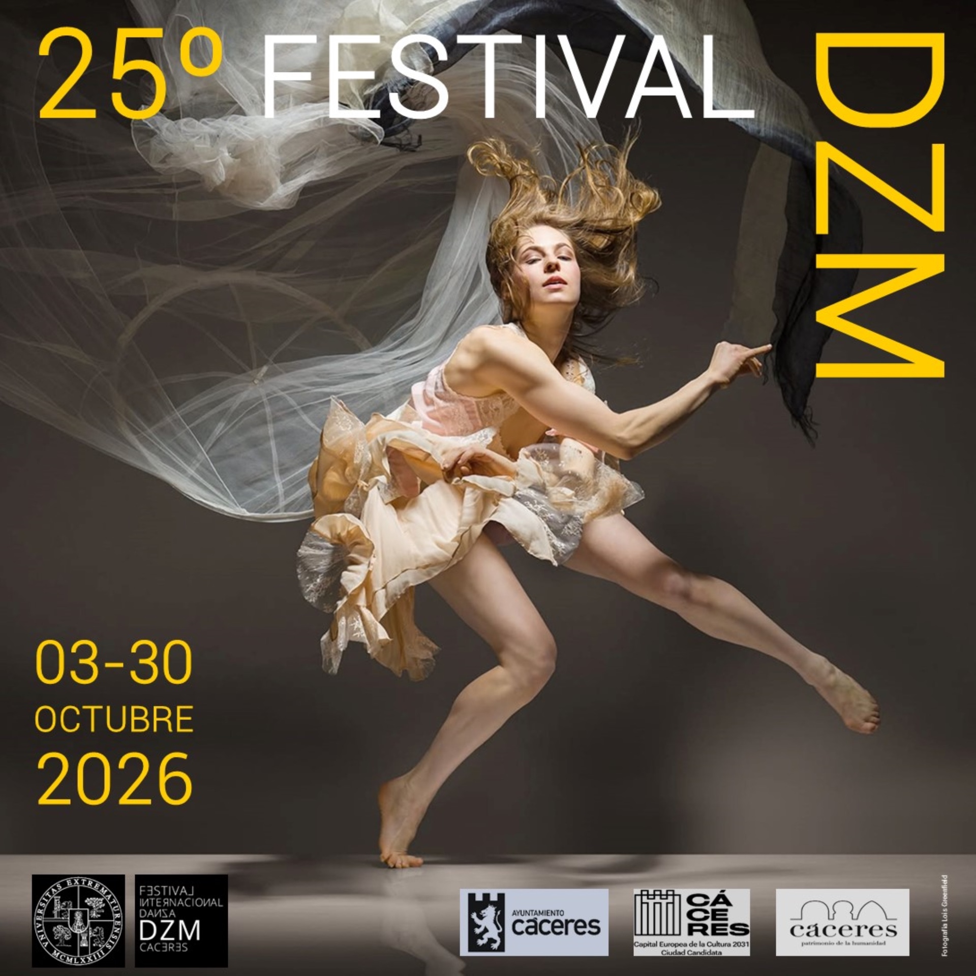 Cartel oficial 25º Festival DZM 2026